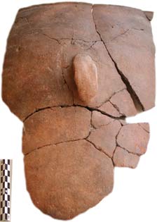 CMAR-065-1